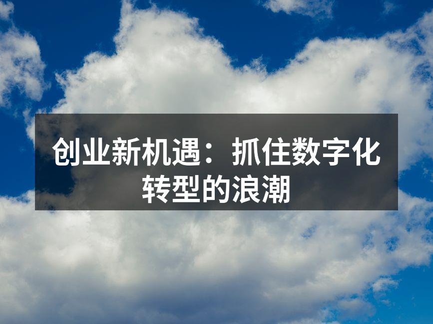 创业新机遇：抓住数字化转型的浪潮