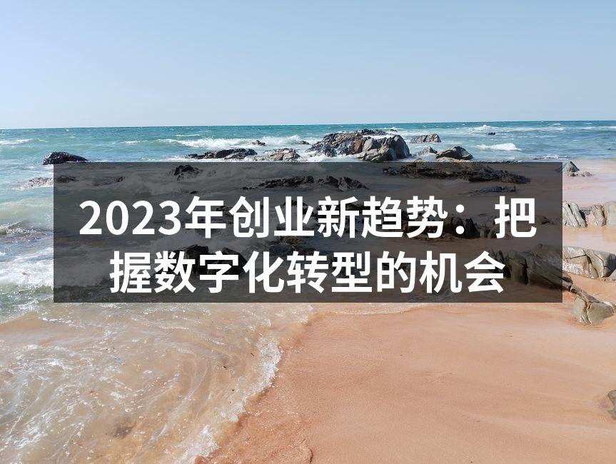 2023年创业新趋势：把握数字化转型的机会