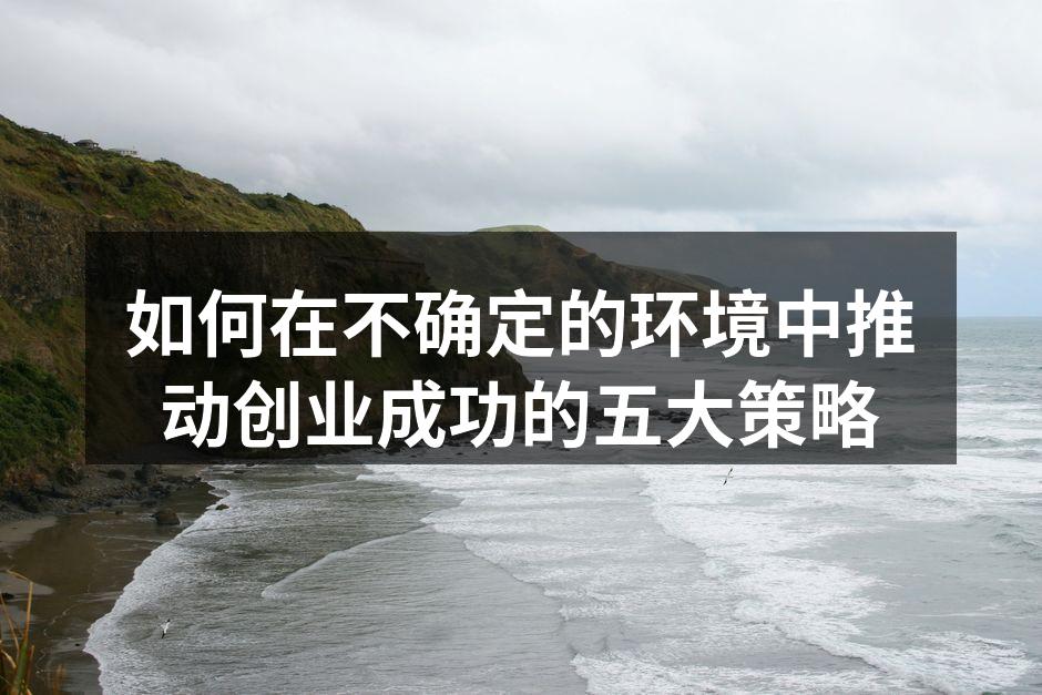 如何在不确定的环境中推动创业成功的五大策略