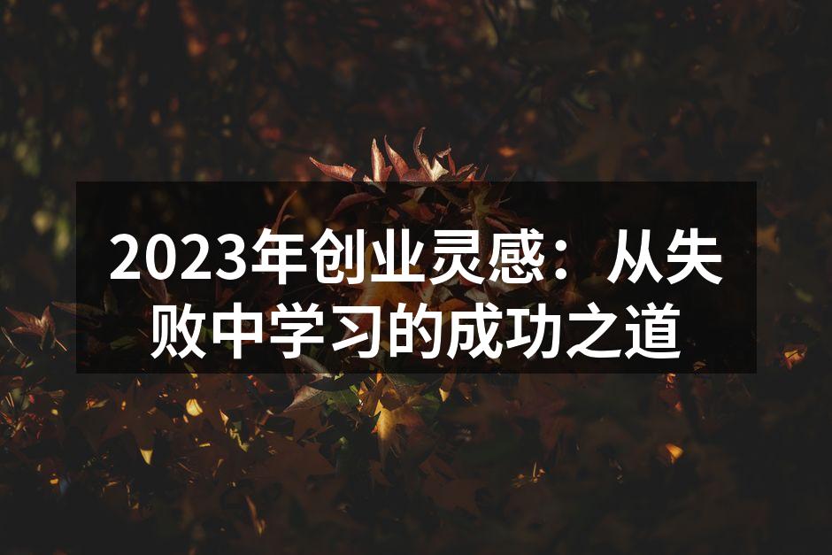 2023年创业灵感：从失败中学习的成功之道
